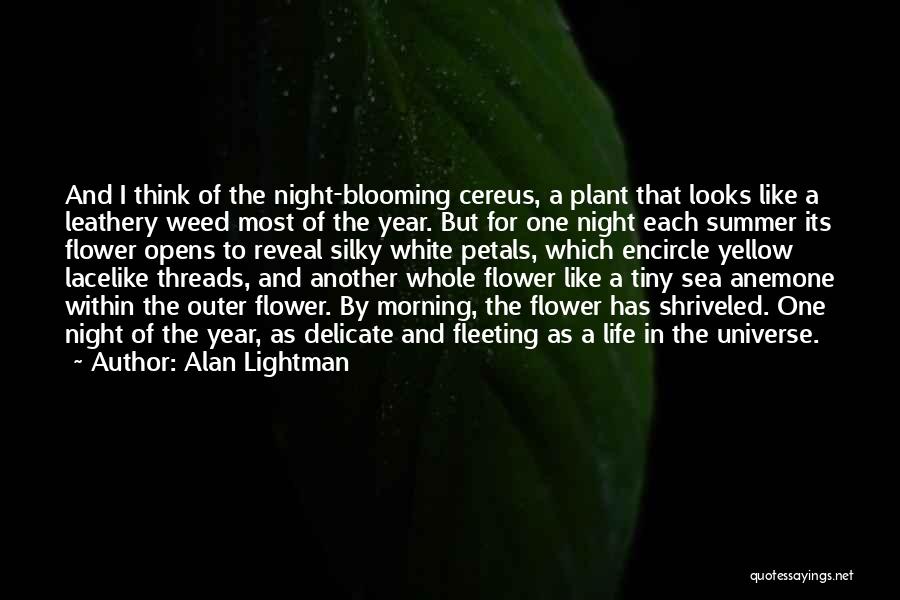 Morning And Flower Quotes By Alan Lightman