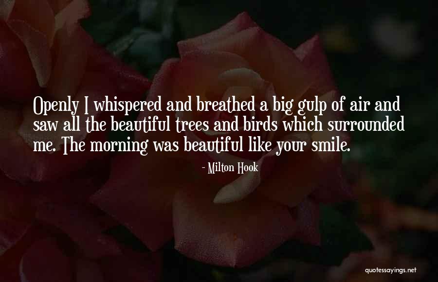 Morning And Smile Quotes By Milton Hook Morning And Smile Quotes By Milton Hook