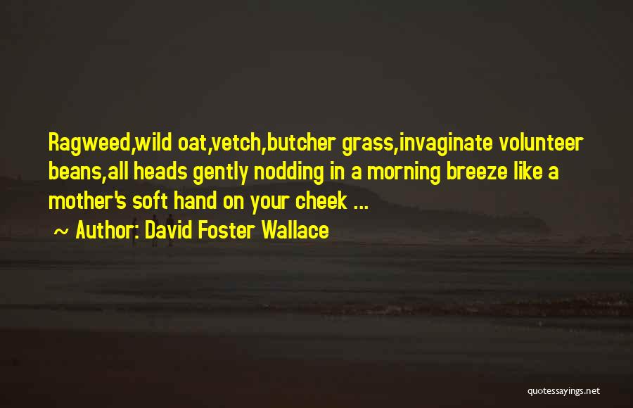 Morning Breeze Quotes By David Foster Wallace
