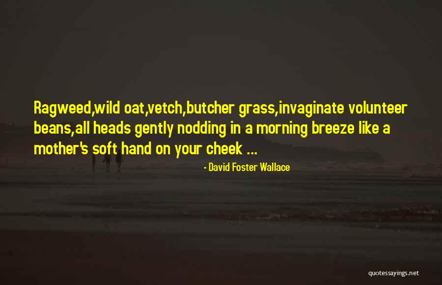 Morning Breeze Quotes By David Foster Wallace