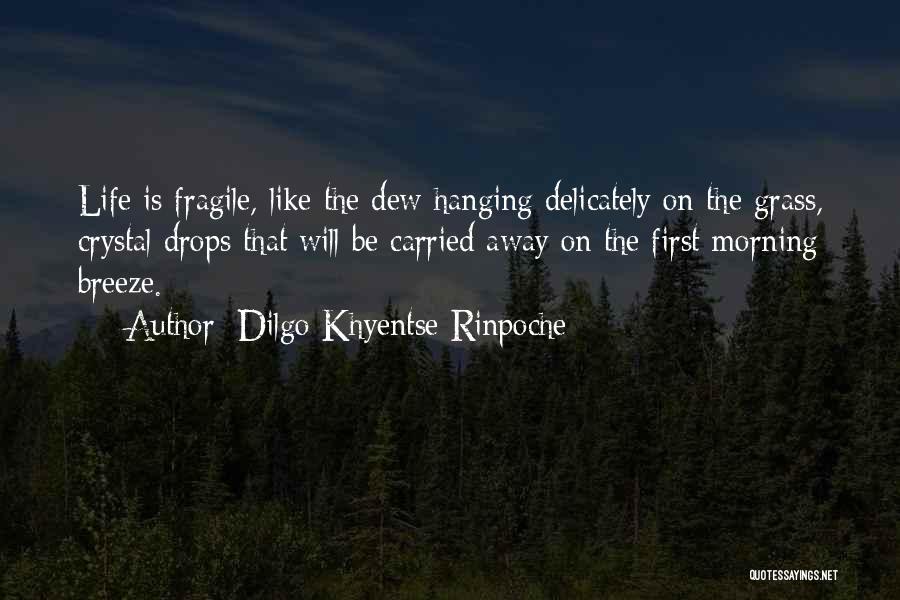 Morning Breeze Quotes By Dilgo Khyentse Rinpoche