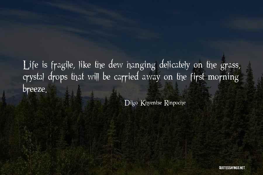 Morning Breeze Quotes By Dilgo Khyentse Rinpoche