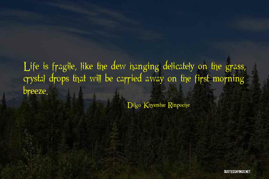 Morning Dew Drops Quotes By Dilgo Khyentse Rinpoche Morning Dew Drops Quotes By Dilgo Khyentse Rinpoche