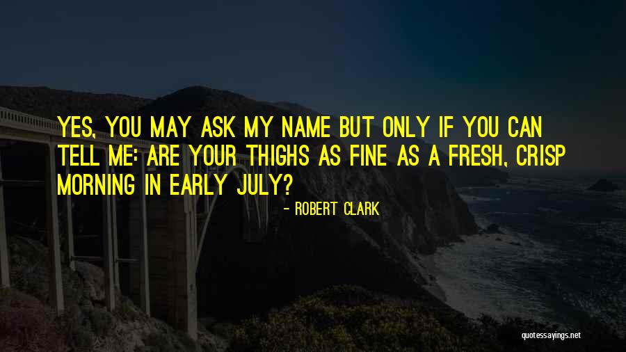 Morning Early Quotes By Robert Clark