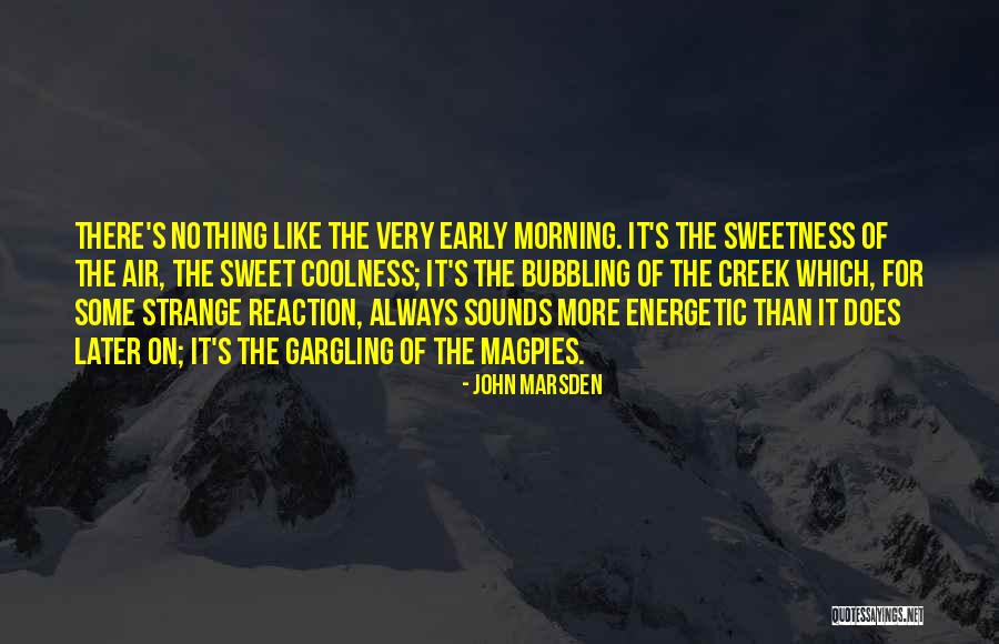 Morning Energetic Quotes By John Marsden Morning Energetic Quotes By John Marsden