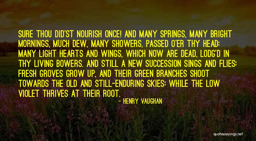 Morning Fresh Quotes By Henry Vaughan