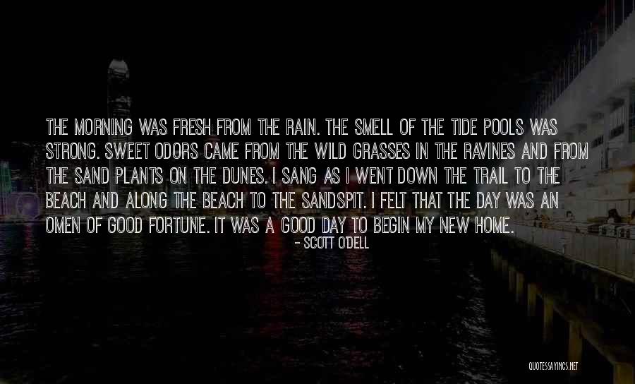 Morning Fresh Quotes By Scott O'Dell Morning Fresh Quotes By Scott O'Dell