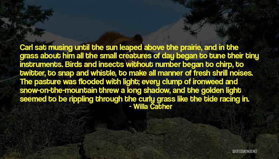 Morning Fresh Quotes By Willa Cather Morning Fresh Quotes By Willa Cather