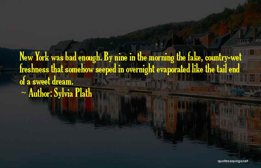 Morning Freshness Quotes By Sylvia Plath