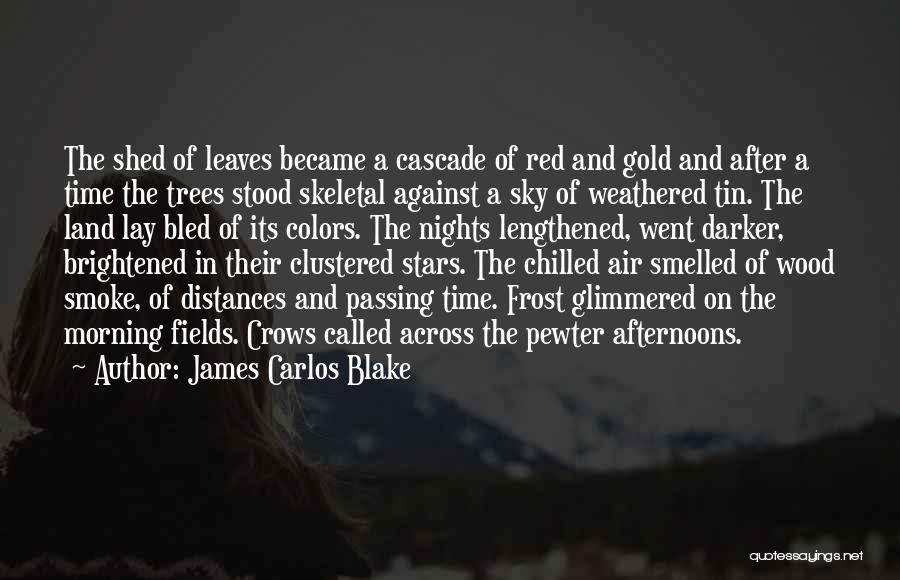 Morning Frost Quotes By James Carlos Blake