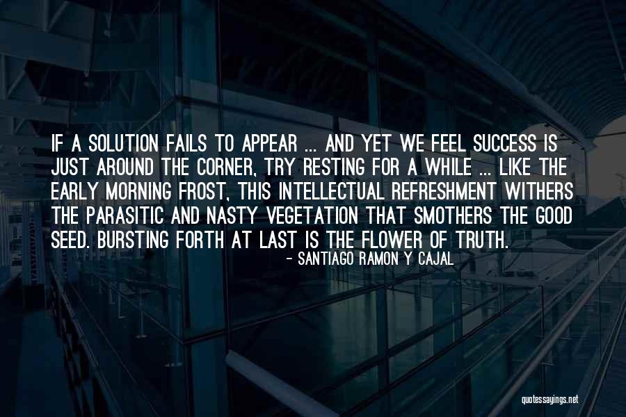 Morning Frost Quotes By Santiago Ramon Y Cajal