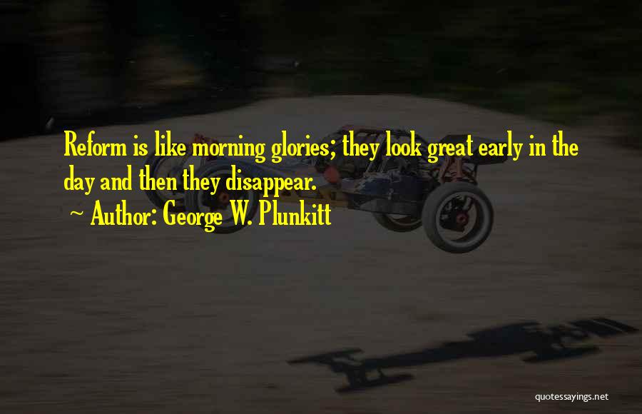 Morning Glories Quotes By George W. Plunkitt