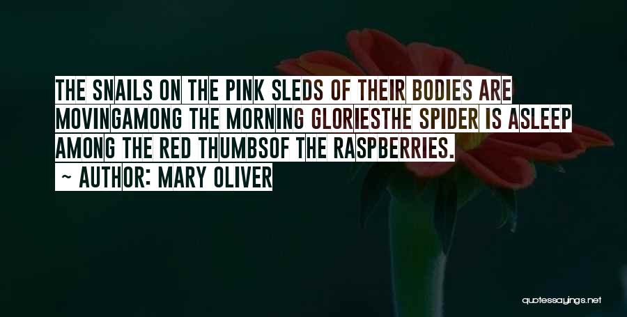 Morning Glories Quotes By Mary Oliver