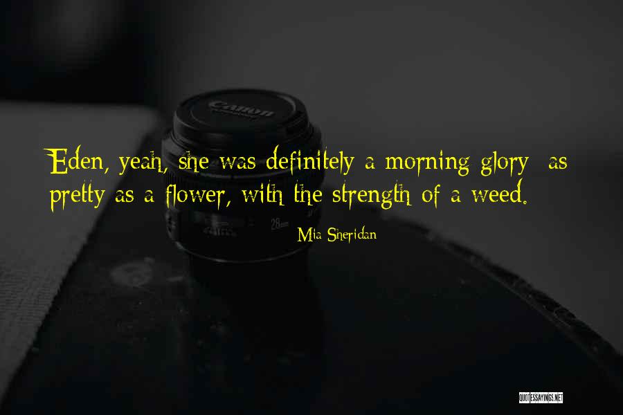 Morning Glory Weed Quotes By Mia Sheridan