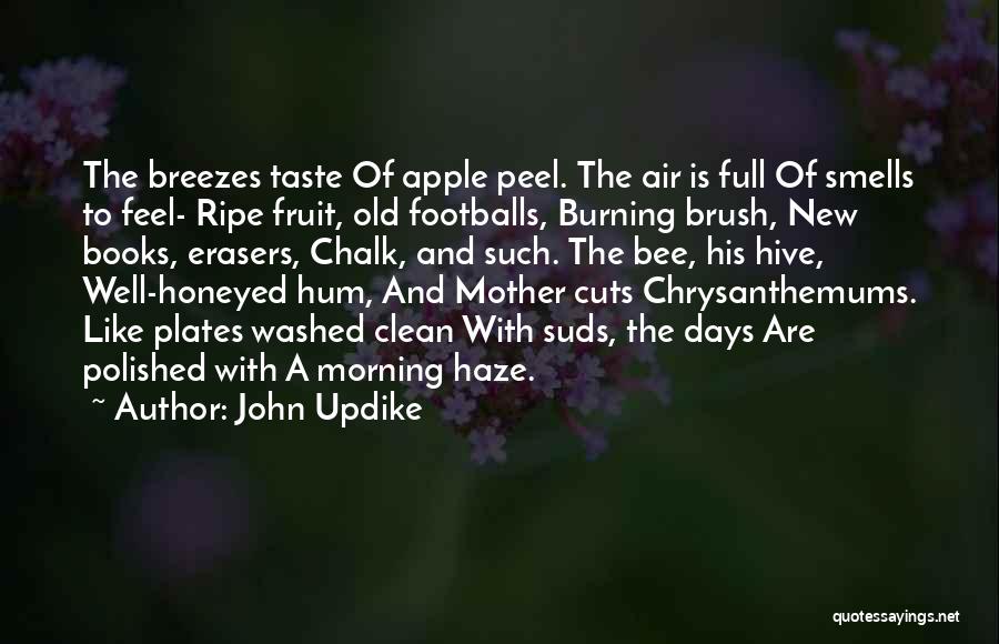 Morning Haze Quotes By John Updike