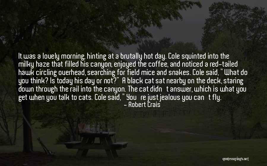 Morning Haze Quotes By Robert Crais