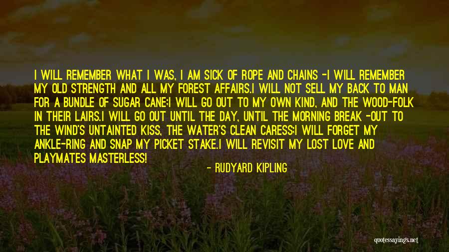 Morning Kiss Love Quotes By Rudyard Kipling