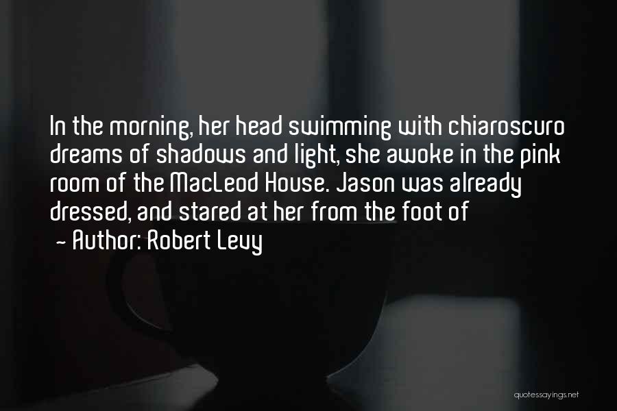 Morning Light Quotes By Robert Levy