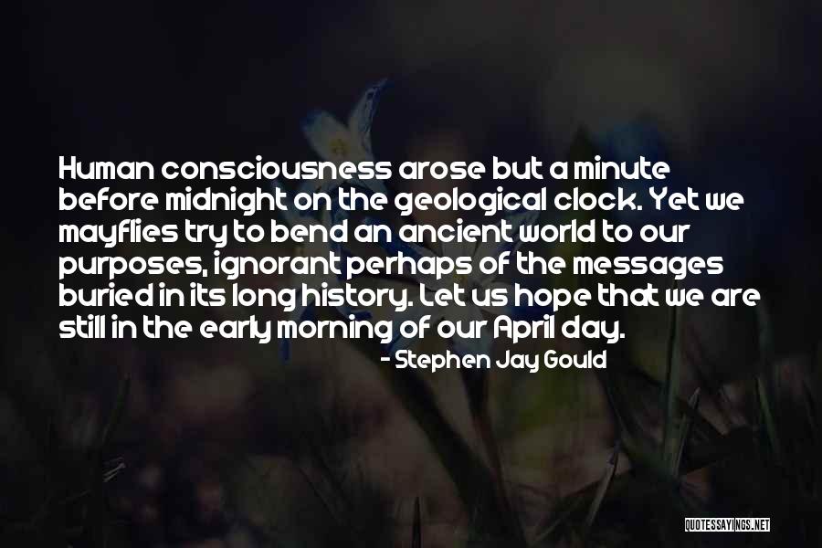 Morning Messages Quotes By Stephen Jay Gould