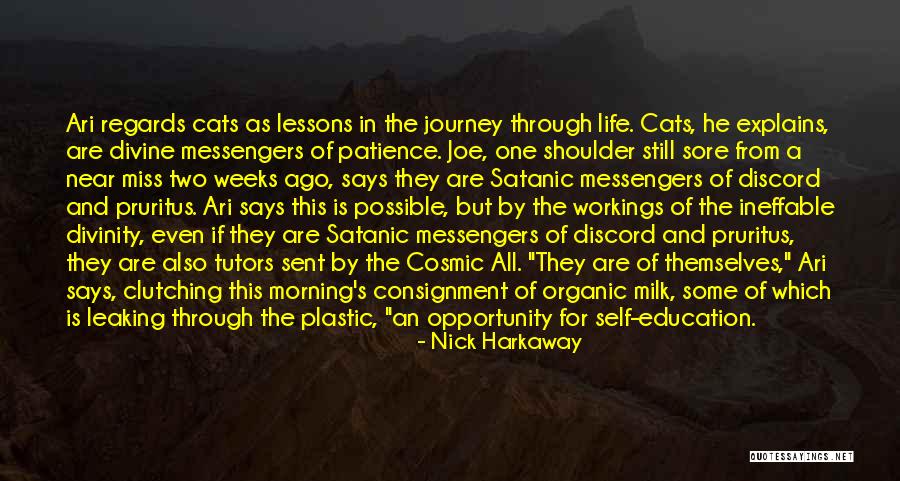 Morning Miss Him Quotes By Nick Harkaway