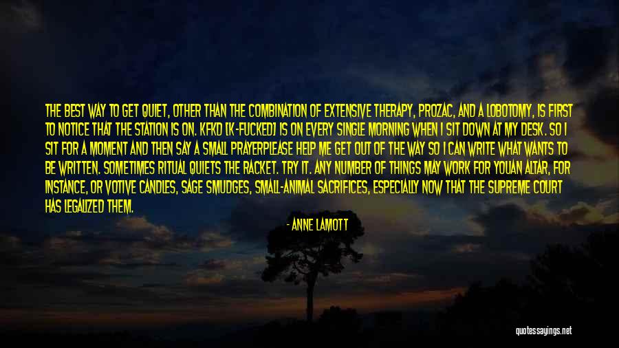 Morning Prayer Quotes By Anne Lamott