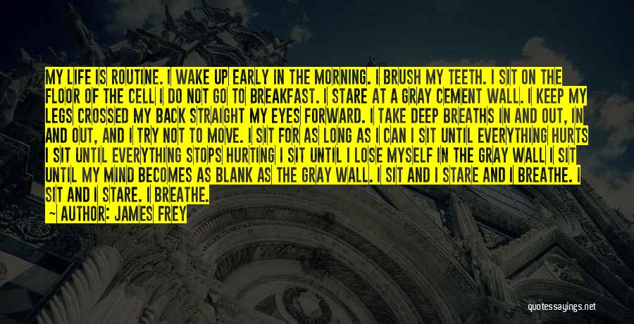 Morning Routine Quotes By James Frey