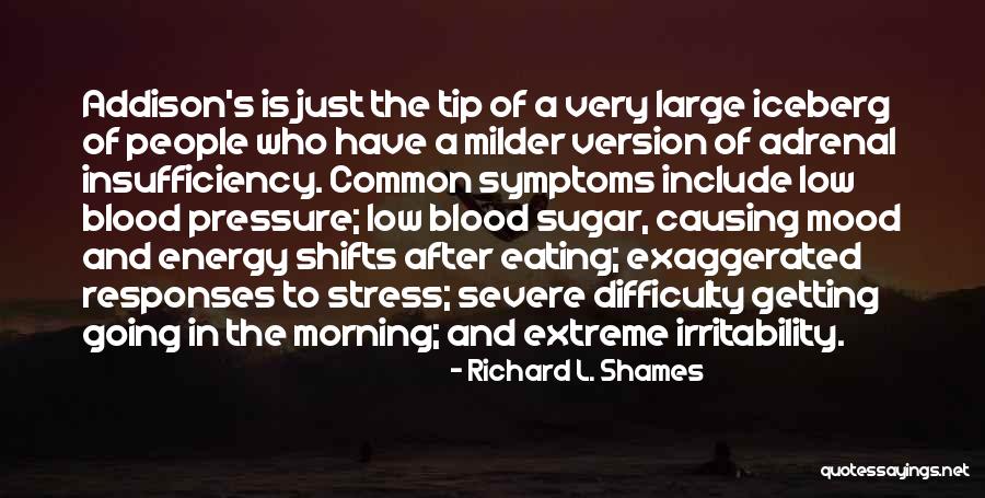 Morning Shifts Quotes By Richard L. Shames Morning Shifts Quotes By Richard L. Shames