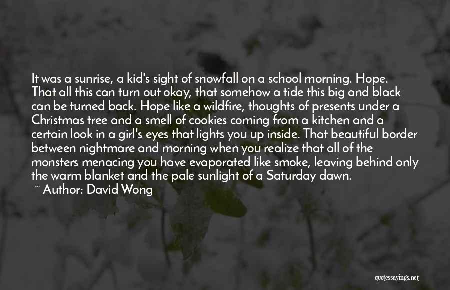 Morning Snowfall Quotes By David Wong