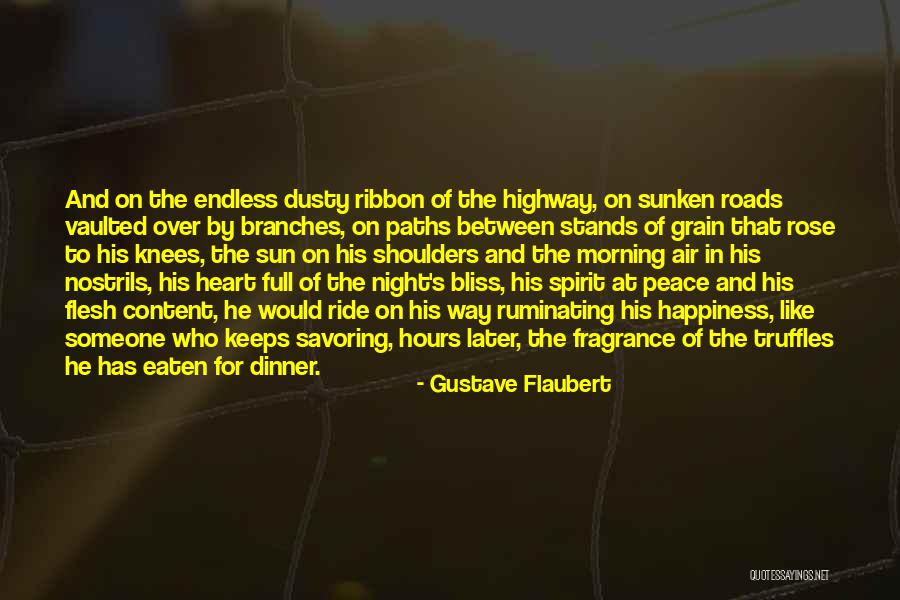 Morning Sun Love Quotes By Gustave Flaubert