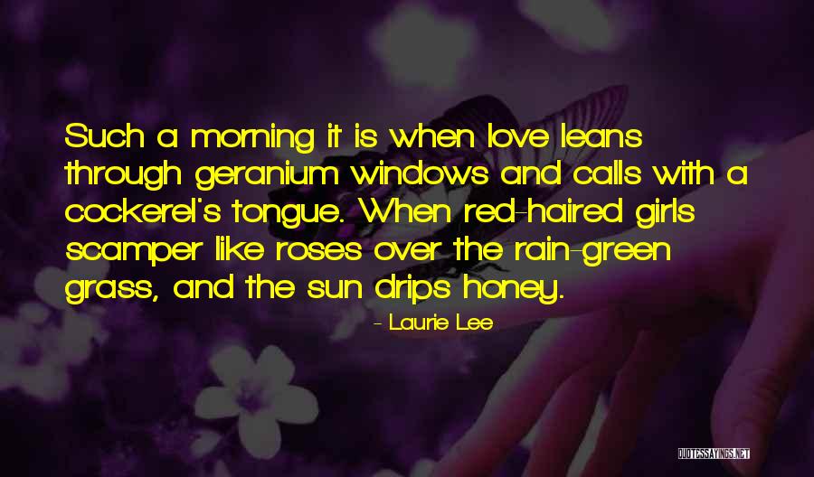 Morning Sun Love Quotes By Laurie Lee