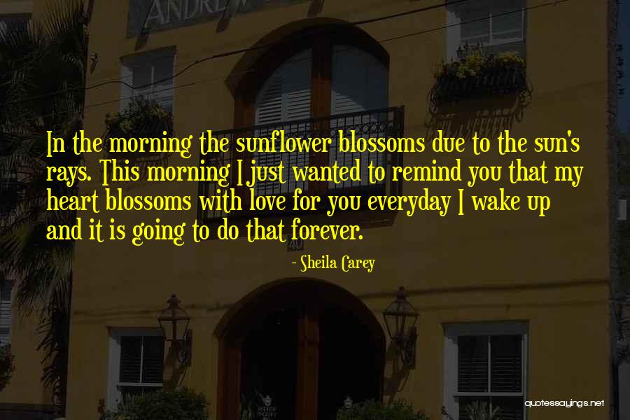 Morning Sun Love Quotes By Sheila Carey Morning Sun Love Quotes By Sheila Carey