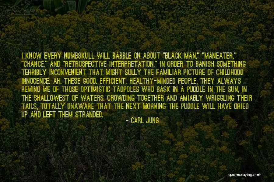 Morning Sun Quotes By Carl Jung Morning Sun Quotes By Carl Jung