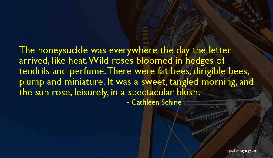 Morning Sun Quotes By Cathleen Schine Morning Sun Quotes By Cathleen Schine