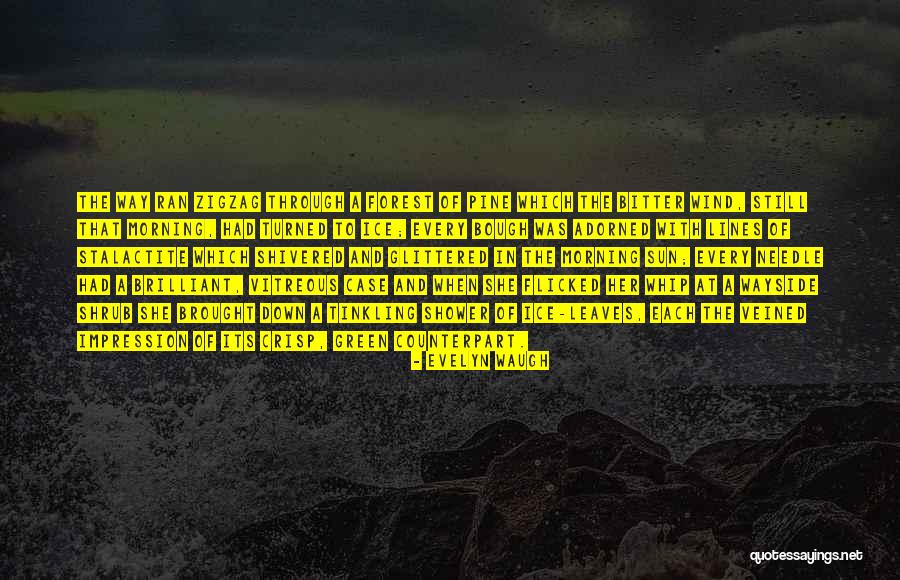 Morning Sun Quotes By Evelyn Waugh Morning Sun Quotes By Evelyn Waugh