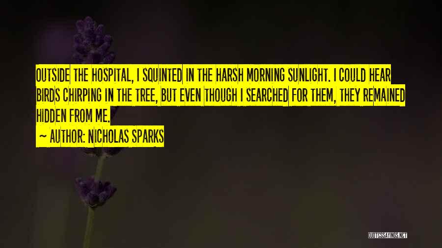 Morning Sunlight Quotes By Nicholas Sparks