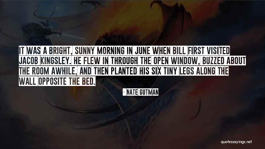 Morning Sunny Quotes By Nate Gutman