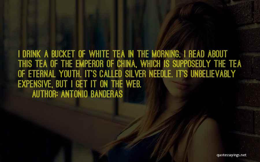 Morning Tea Quotes By Antonio Banderas
