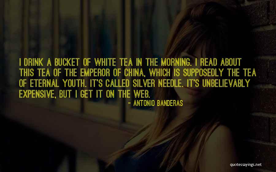 Morning Tea Quotes By Antonio Banderas