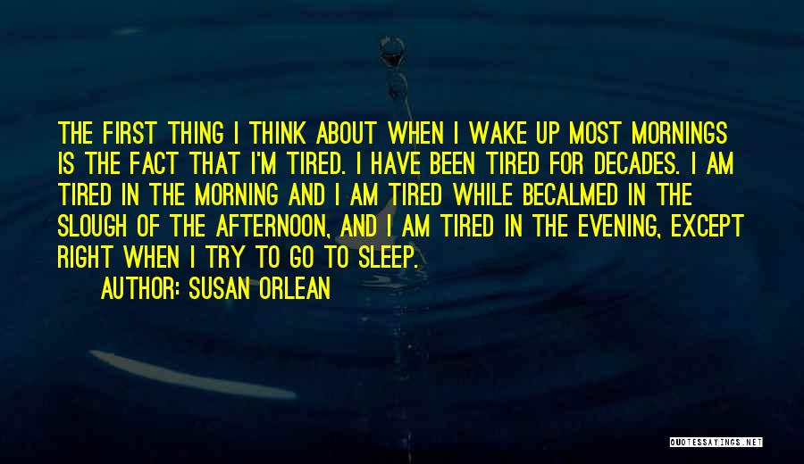 Morning Tired Quotes By Susan Orlean