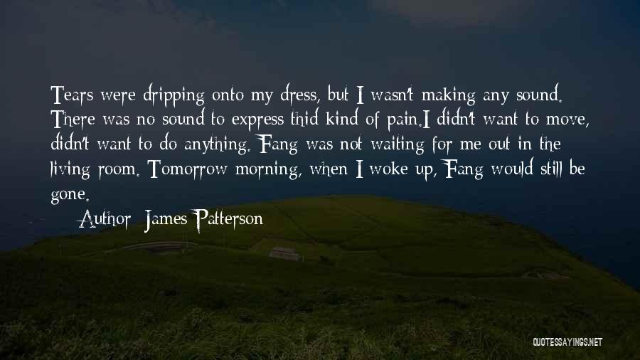 Morning Woke Up Quotes By James Patterson