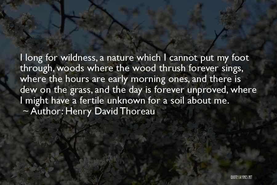 Morning Wood Quotes By Henry David Thoreau