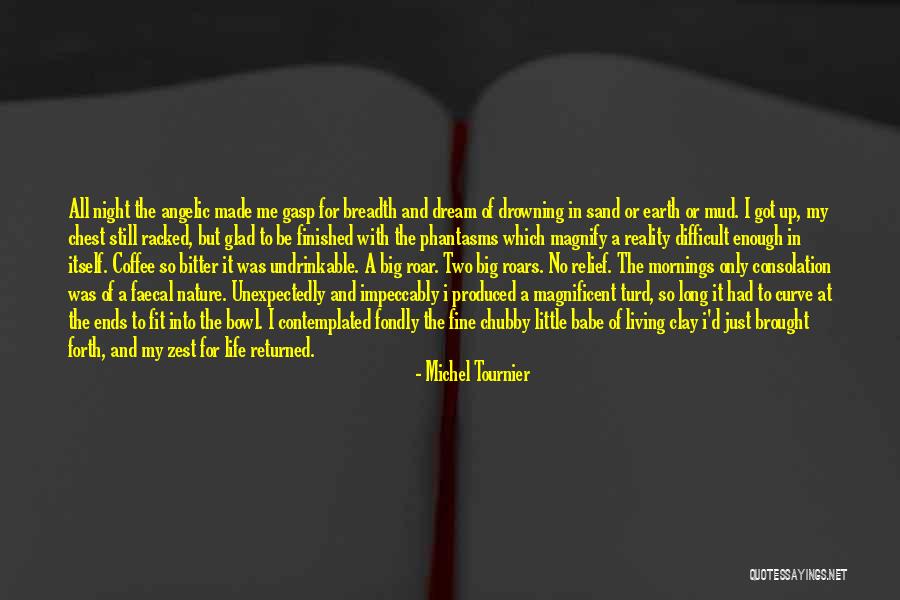 Mornings Are Made For Quotes By Michel Tournier Mornings Are Made For Quotes By Michel Tournier