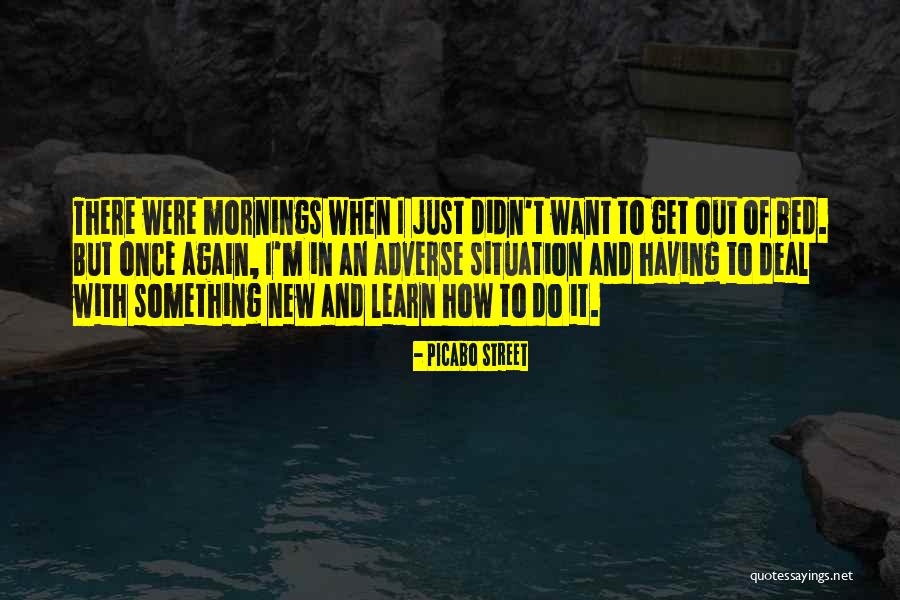 Mornings In Bed Quotes By Picabo Street