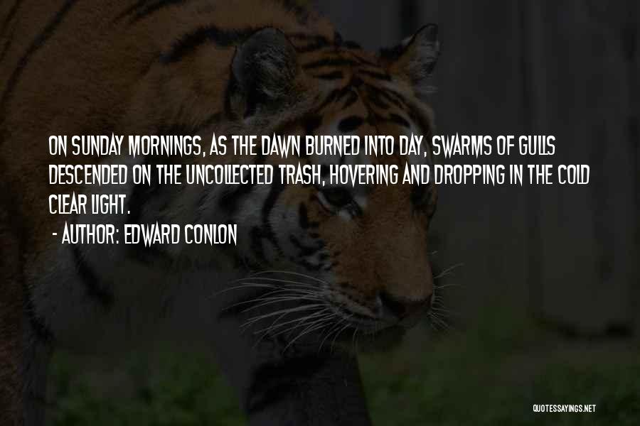 Mornings Quotes By Edward Conlon