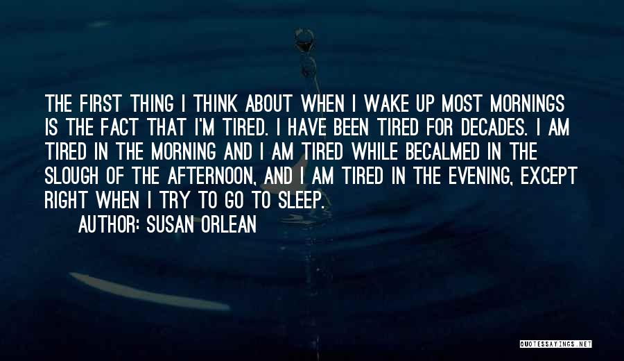 Mornings Quotes By Susan Orlean