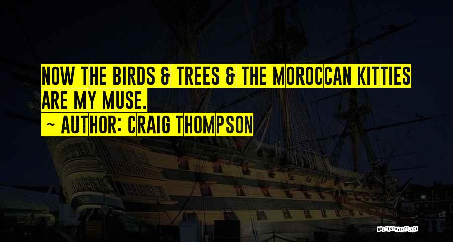 Moroccan Quotes By Craig Thompson