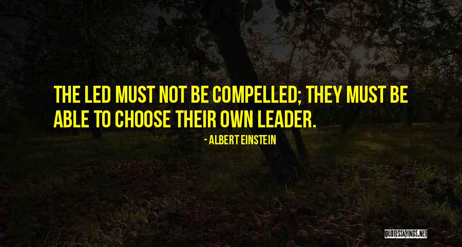 Moroder Winery Quotes By Albert Einstein