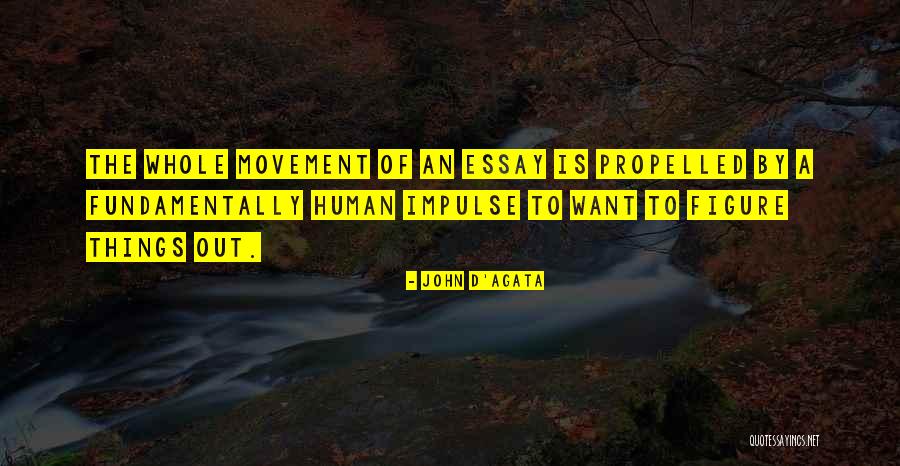 Moroleon Tiendas Quotes By John D'Agata