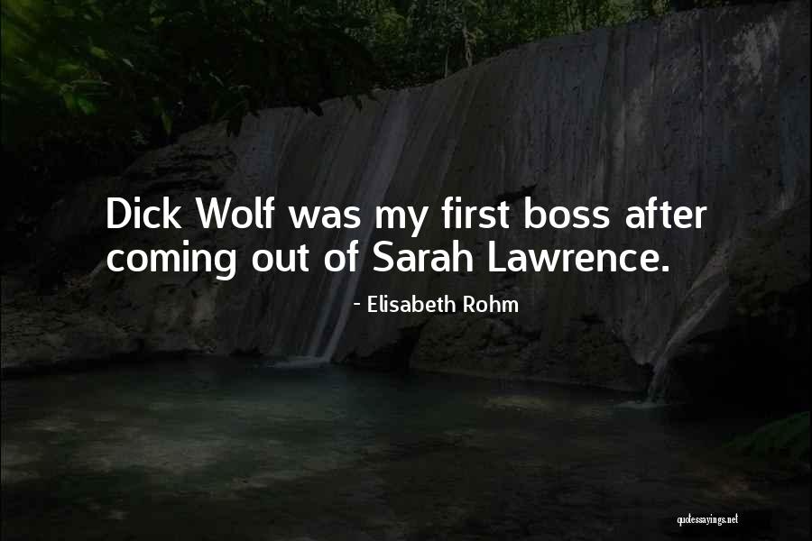 Morosan Medicine Quotes By Elisabeth Rohm