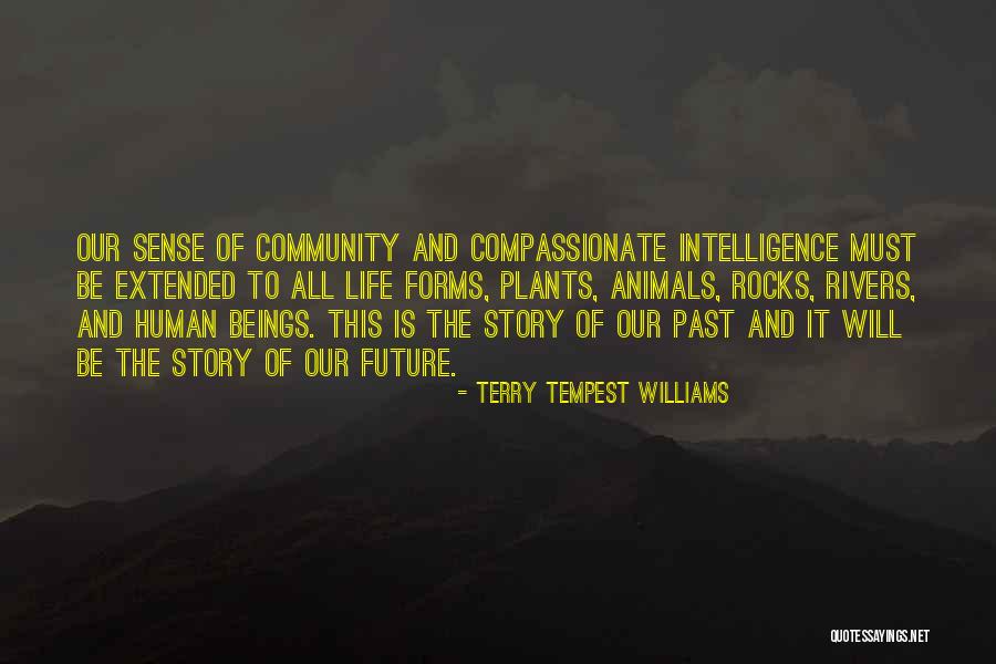 Morose Crossword Quotes By Terry Tempest Williams Morose Crossword Quotes By Terry Tempest Williams